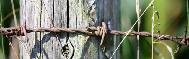 Okastraat tegi eramaa kaitsemiseks seda, mida Abraham Lincoln ei suutnud