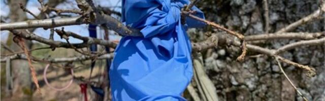 Ohverdamine, kahjamine, anni andmine – rõõm või omakasu?