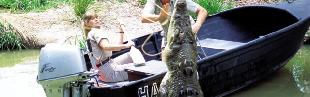Traagiliselt hukkunud Austraalia krokodillikütt Steve Irwin oli jõukas, ent perele ei pärandanud midagi