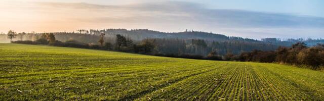 Keskkonnaagentuur: lähinädalatel on suur põuaoht