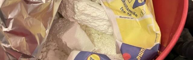 Prokuratuur esitas süüdistuse mehele, kelle kodust leiti kilo kokaiini