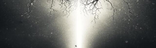 Täna on talvine pööripäev!