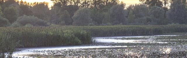 Tartu linn soovib tänavu alustada Supilinna tiigi korrastamist