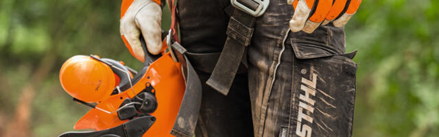 Kõik, mis lõikab puruks puid, lõikab puruks ka luid!