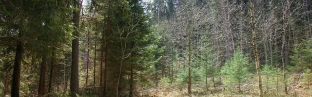 Tark metsastamine loob väärtust kogu ühiskonnale