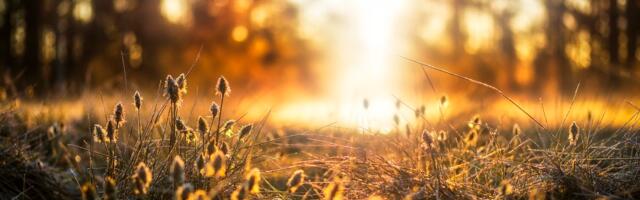 ILMATEADE | Kevad näitab oma parimat palet, on sooja ja päikest