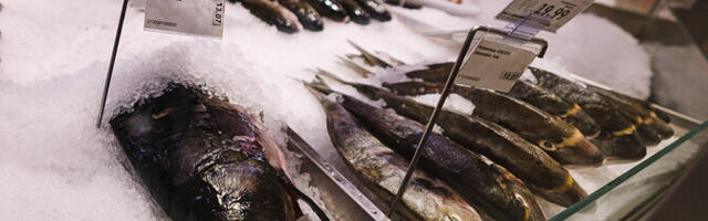 Kala sööma innustavat kampaaniat tahab korraldada 13 pakkujat