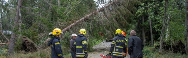Laupäevane torm tekitas Soome elektrivõrgule kümne aasta suurima kahju
