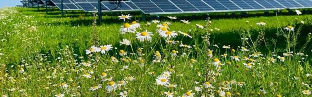 Evecon rajab suurima päikesepargi Baltikumis