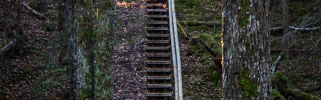 ILMATU PIKK | RMK rajab Hiiumaale 400 kilomeetri pikkuse jalgrattaraja