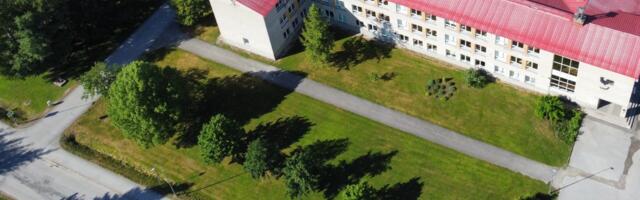 Vallavalitsus laskis Lihula koolimaja juurest lennupuud maha raiuda