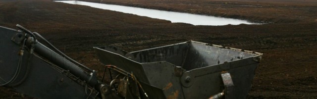 Eesti korraldab turbatööstuse virtuaalse kongressi