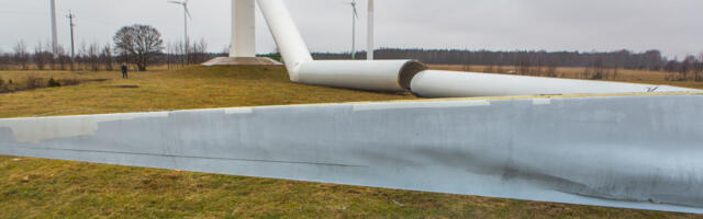 Sõnajalad plaanivad Salmele  teist suurt elektrituulikut