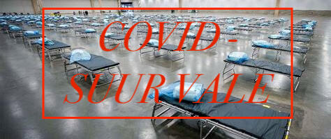 Prof Michel Chossudovsky: Covid on maailma ajaloo suurim vale