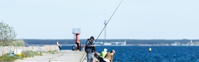 Fakt teadust päevas: kas meres leidub tõesti palju kalu?