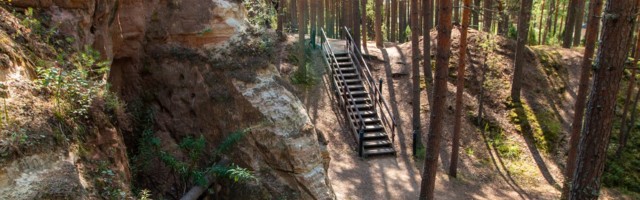 Lõuna-Eestis taastati mitmeid looduskooslusi