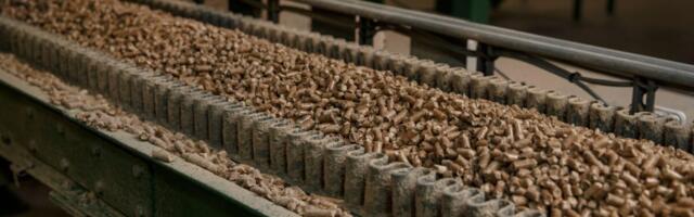 Venemaa pelletid trügivad Euroopasse