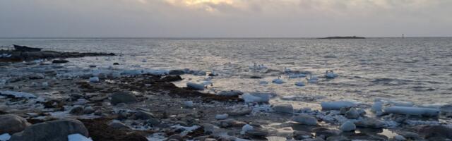 KOMMENTAARIDETA: Pandju 23. jaanuaril 2024