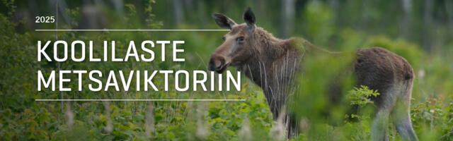 RMK ootab kooliõpilasi lahendama metsaviktoriini