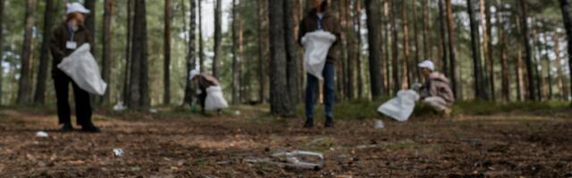 Iga kummardus loeb: kevadpealinn Türi kutsub taas KõKutama