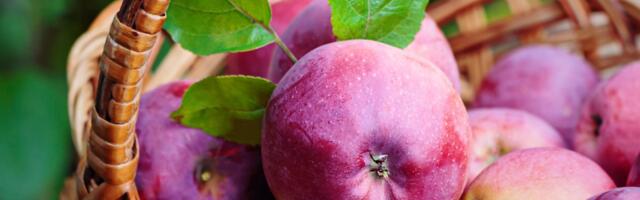 Päevahoroskoop : teisipäev, 23. september