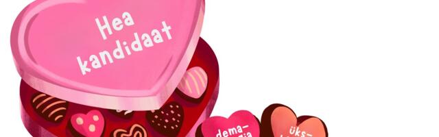 Marcus Ehasoo: kas meeldiva ideoloogiaga kandidaat kohalikest muredest ikka päriselt teab?