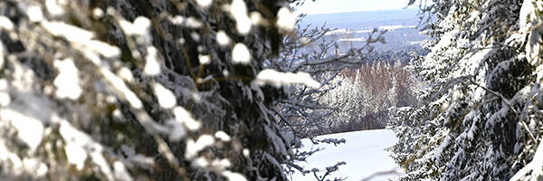 Keskkonaagentuur: talv oli normist külmem, sajuvaesem ja päikesepaistelisem