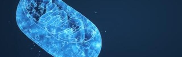 Uuring: mitofaagia defektid võivad tuua  haigestumise