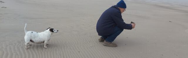 Meie Flöör – printsess ja seltsidaam