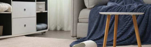 Lind lendab tuppa ja tekitab kaose – kes maksab kahju kinni?