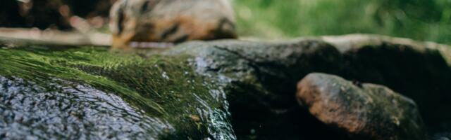 Teabepäev "Ajaloolised looduslikud pühapaigad Helme kihelkonnas" 23. novembril Tõrva raamatukogus