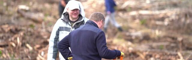 Riigikantselei tuli Varbolasse metsa istutama