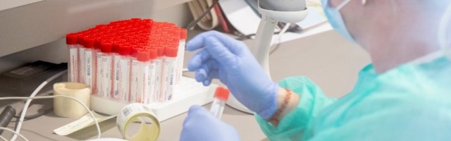 GRAAFIK | Terviseamet: ööpäevaga lisandus 22 positiivset koroonatesti. Haigestus ka üks Rally Estoniat külastanud inimene