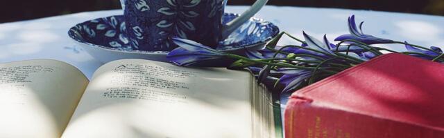 Vendade Liivide ja Juhan Liivi luuleauhinna laureaatide loomingule pühendatud etlusvõistluse Valgamaa eelvoor on taas tulekul!