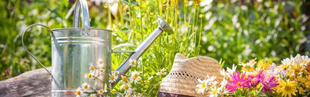 Thuni külvikalender juuniks: kuu alguses ja lõpus olevatel planeedivarjutustel on halb mõju