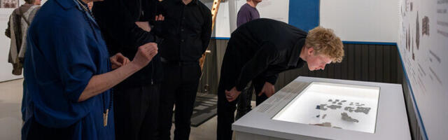 Galerii: ERM-is avati näitus "Meie rõiva värvid. Kohalik ja kauge"