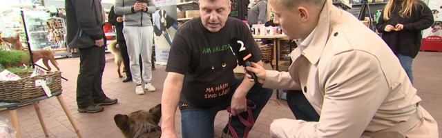 Reporter: Laagna tee surmaavariist napilt eluga pääsenud Arina päästis mitmeid elusid