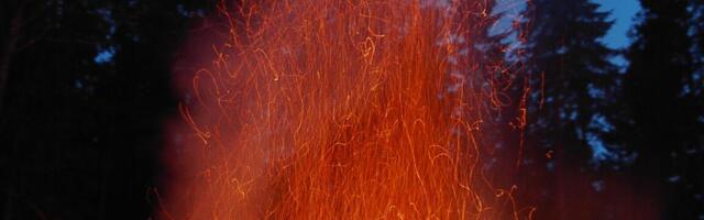 Olgem tähelepanelikud: jaanipäevaks varem valmiskuhjatud lõkkematerjalis võib peituda linnupesa!