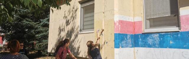 FOTO, VIDEO: Akcija uređivanja na Limanu 4: Zastava tamo gde joj i priliči, a ne na fasadama