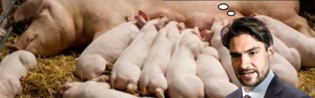 Indrek Pähnapuu- Riik lihtsalt omastab erasektori farme juba?