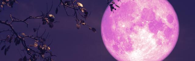 2. aprilli täiskuu toob neile 3 tähemärgile erakordset õnne ja uusi võimalusi