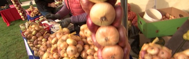 Reporter: Vabaõhumuuseumis sai valida ja osta sibula talvevarud