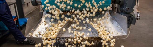 Eesti snäkitootja paisutab mahtu Rootsis: iga kuu läheb teele 15 veokitäit popkorni