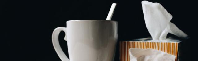 Ülevaade nakkushaigustest: peamised haigustekitajad on RS-viirused, paragripi- ja rinoviirused