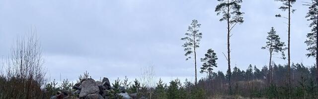 AHTO ILMAJUTUD | Suurt külma ei tule, pigem läheb isegi soojemaks