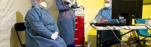 "Tellimusi tuli nädalavahetusega nii palju, et esmaspäeval oli kõigil šokk"