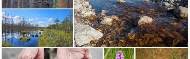 Eesti elanikud toetavad looduskaitsetöid