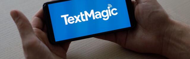 TextMagicu finantsjuht: aasta lõpuks võiks ligi pool arendustegevusest olla tehtud tehisaruga