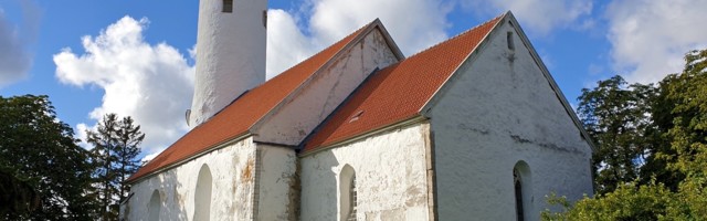 Veiko Vihuri: EELK ei tohi langeda