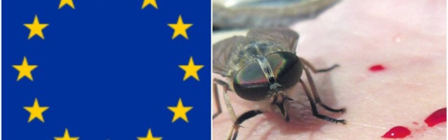 Euroopa Liit: Eestit võib parmude ja sääskede genotsiidi eest oodata hiigeltrahv